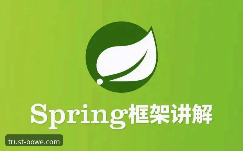 资深用户分享：宝威BOWE好用吗使用指南，从入门到精通的核心体验