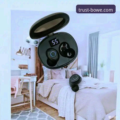 宝威BOWE下载哪个好 深度揭秘:宝威BOWE下载哪个好?技术评测背后的真相