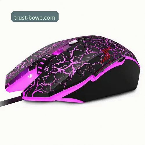 宝威体育官网注册流程全面解析：从零开始到畅享官方服务