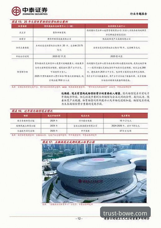 资深用户解析：从一场庭审看体育产业与资本运作的深度关联